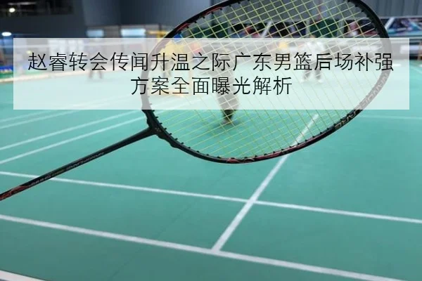 赵睿转会传闻升温之际广东男篮后场补强方案全面曝光解析